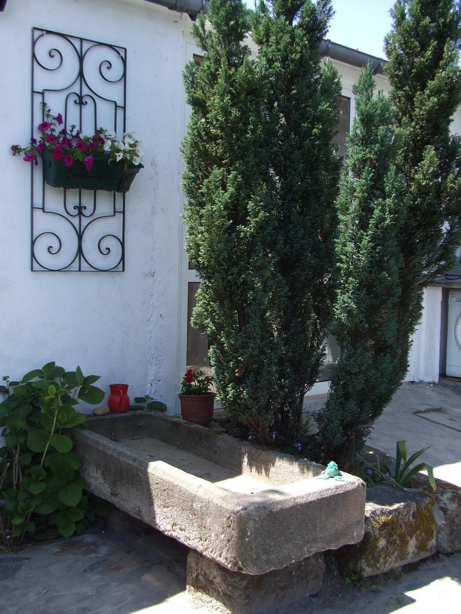 Obradoiro Hostel Sarria Buitenkant foto